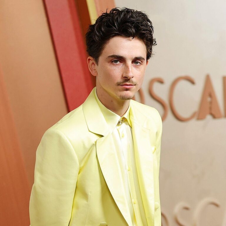Timothée Chalamet — η νεανική, αντισυμβατική γοητεία